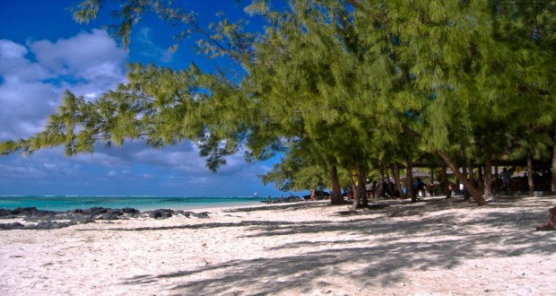 Ile aux cerfs